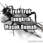 Erek Erek Jangkrik Masuk Rumah Dalam Buku Mimpi