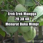 Erek Erek Mangga 2D 3D 4D Menurut Buku Tafsir Mimpi Lengkap