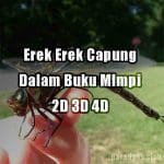 Erek Erek Capung 2D 3D 4D Dalam Buku Mimpi