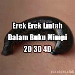 Erek Erek Lintah 2D 3D 4D Dalam Buku Mimpi