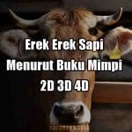 Erek Erek Sapi 2D 3D 4D Dalam Buku Mimpi