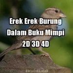 Erek Erek Burung Menurut Buku Mimpi 2D 3D 4D