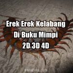 Erek Erek Kelabang Di Buku Mimpi Kelabang 2D 3D 4D