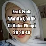 Erek Erek Wanita Cantik Dalam Buku Mimpi