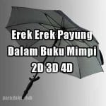 Erek Erek Payung 2D 3D 4D Dalam Buku Tafsir Mimpi