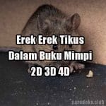 Erek Erek Tikus Mati Dalam Buku Mimpi 2D 3D 4D