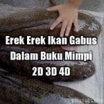 Erek Erek Ikan Gabus Dalam Buku Mimpi 2D 3D 4D