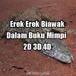 Erek Erek Biawak 2D 3D 4D Dalam Buku Mimpi