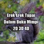 Erek Erek Tupai 2D 3D 4D Di Buku Mimpi