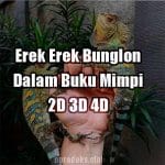 Erek Erek Bunglon 2D 3D 4D Dalam Buku Mimpi