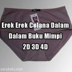 Erek Erek Celana Dalam 2D 3D 4D Dalam Buku Mimpi