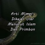 Arti Mimpi Dikejar Ular