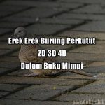 Erek Erek Burung Perkutut 2D 3D 4D Dalam Buku Mimpi