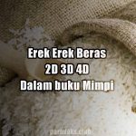 Erek Erek Beras 2D 3D 4D Dalam Buku Mimpi