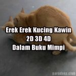 Erek Erek Kucing Kawin 2D 3D 4D Dalam Buku Mimpi