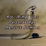 Arti Mimpi Ular