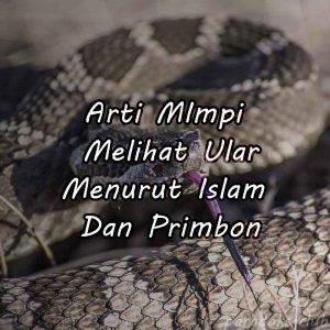 Arti Mimpi Melihat Ular Menurut Islam Dan Primbon