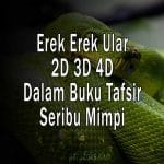 Erek Erek Ular 2D 3D 4D Lengkap Dengan Kode Alam Dan Angka Main